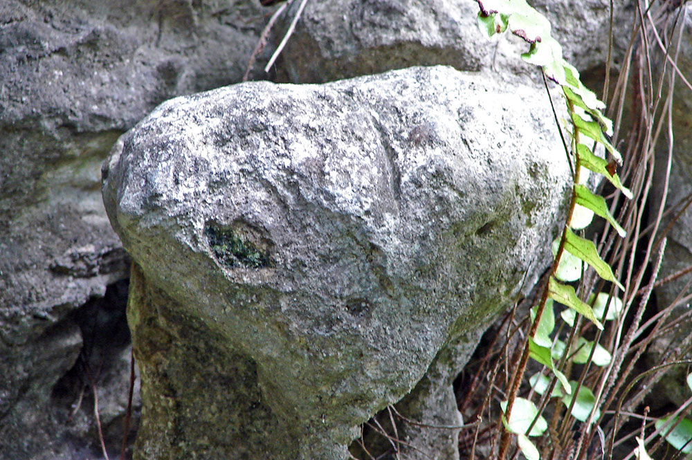 Rocher de l' extraterrestre E.T de la grotte Ae'o à Rututu. © Tahiti Heritage