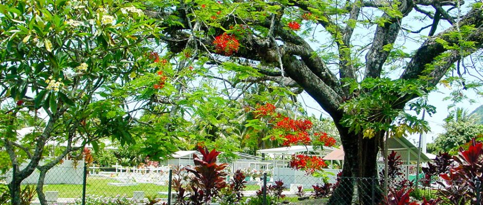 Cimetière de Tautira, Tahiti © Tahiti Heritage
