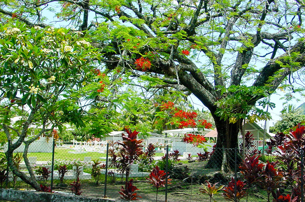 Cimetière de Tautira, Tahiti © Tahiti Heritage