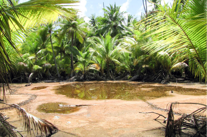 Etang sacré de Tenihinihi à l'ouest de Ahe, Tuamotu. Photo jean Fançois Butaud