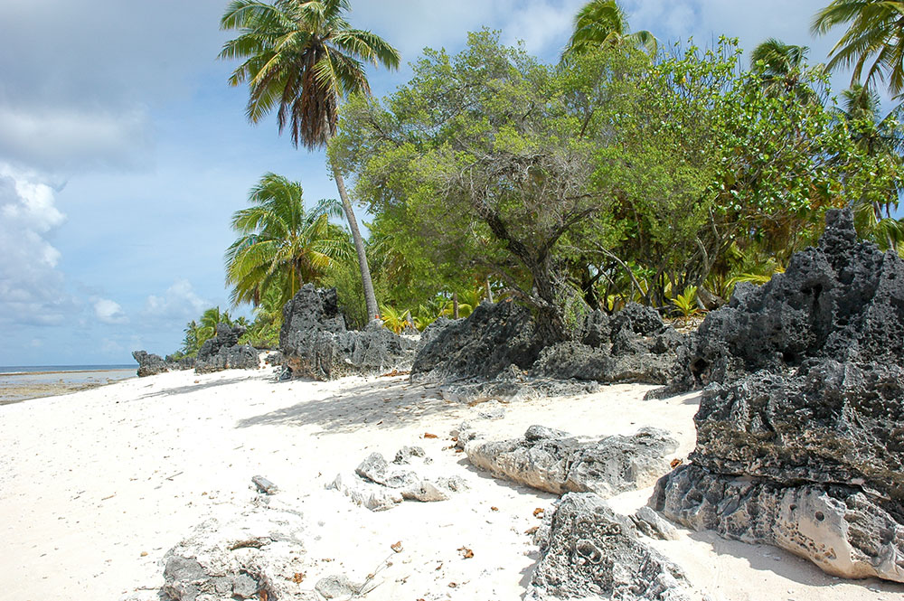 Plage aux feo, Falaise de Tikehau