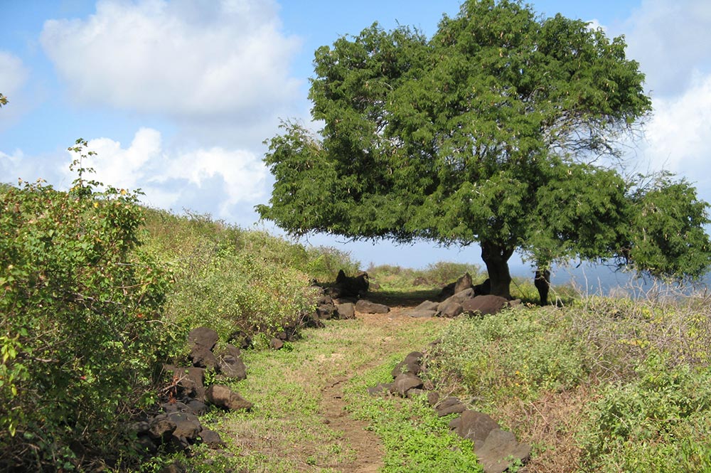 Chemin des déportés de Raiatea, à Ua Huka © Tahiti Heritage