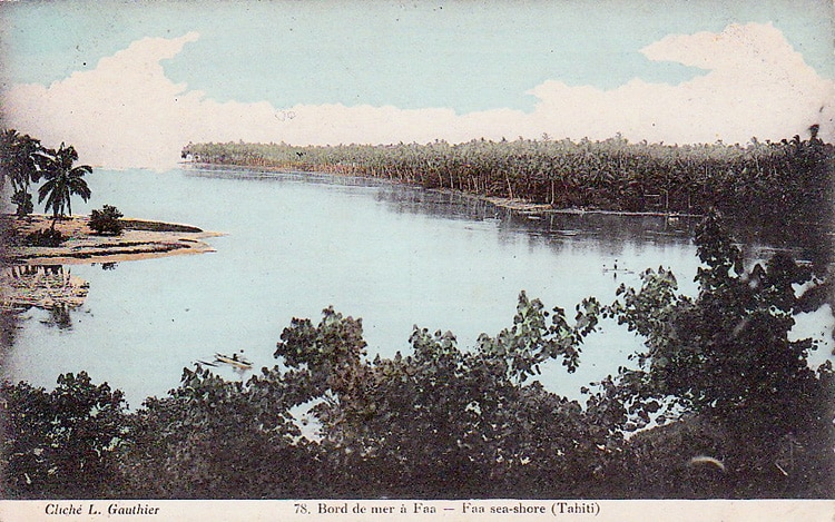 Bord de mer à Faa'a. Tahiti