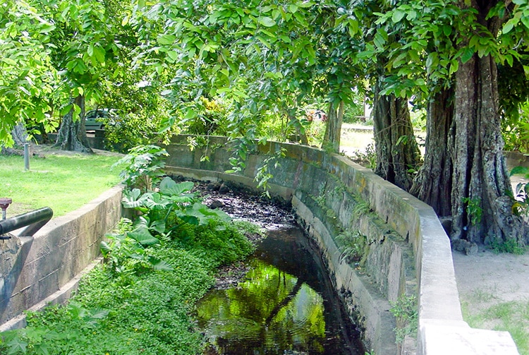 Rivière des anguilles sacrées de Huahine à Faie