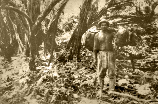 Grotte Anapiro de la vallée de Papenoo. Coll. Raymond Tuhio