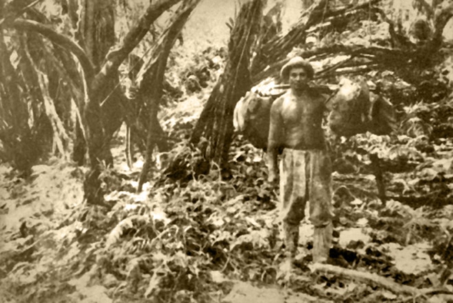 Grotte Anapiro de la vallée de Papenoo. Coll. Raymond Tuhio