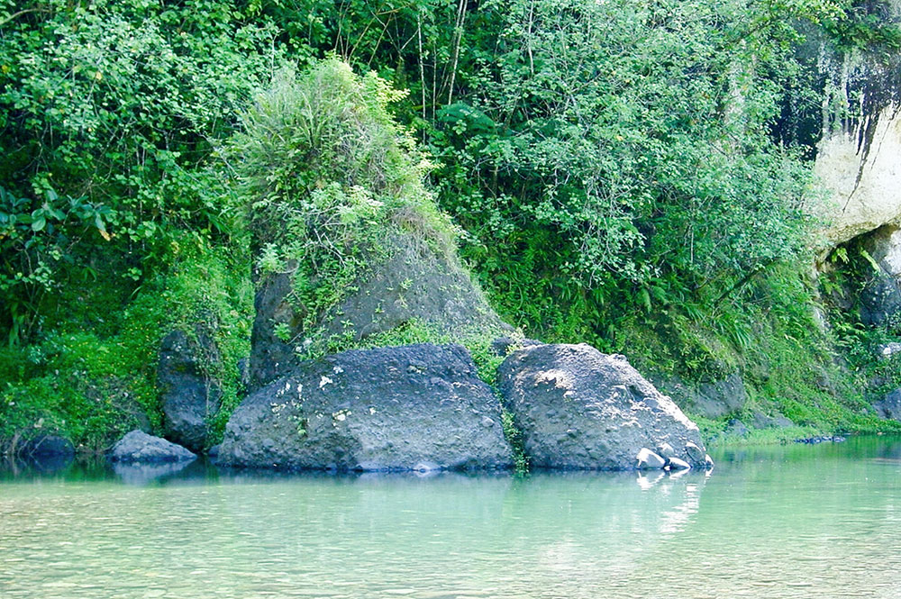 Pierre Pona Roa, dans la moyenne vallée de la Papenoo. © Tahiti Heritage