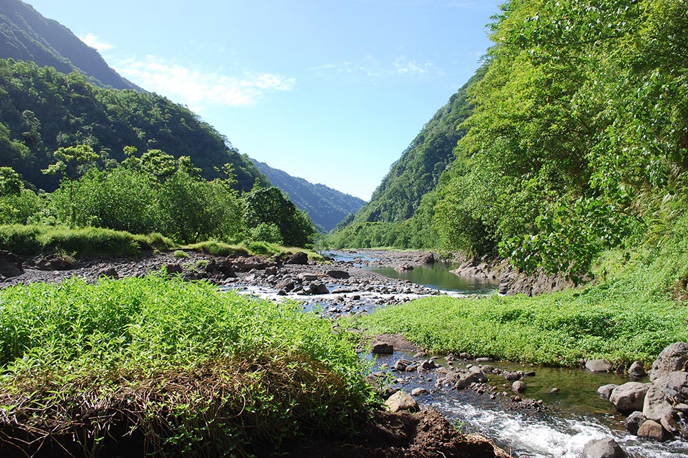 Légende des deux mahu de la vallée de Papenoo