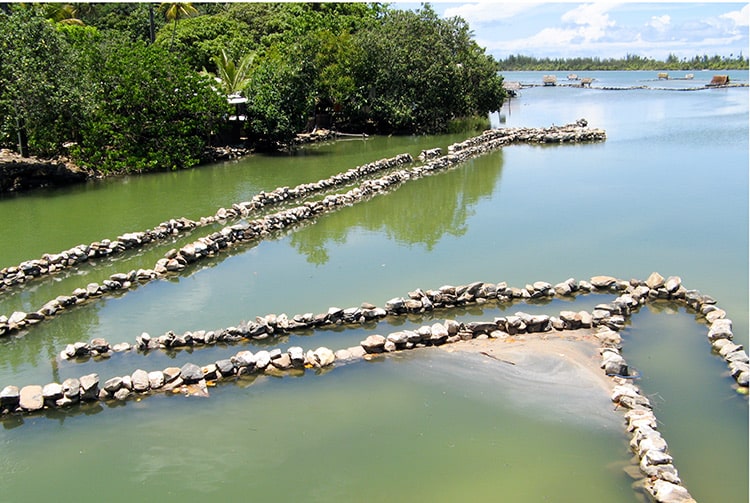 Pièges à poissons du lac Maeva, à Huahine, Iles sous le vent