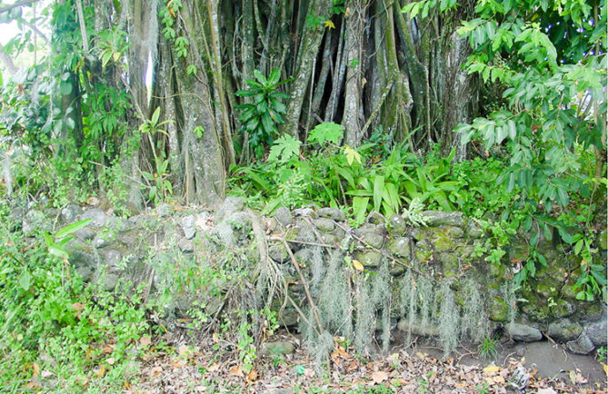 Le marae Mataoa i Tahiti de Papara en 2002 © Tahiti Heritage