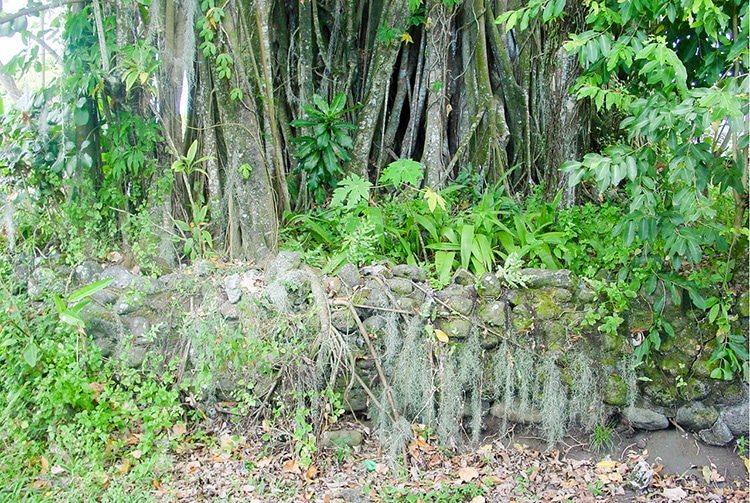 Le marae Mataoa i Tahiti de Papara en 2002 © Tahiti Heritage