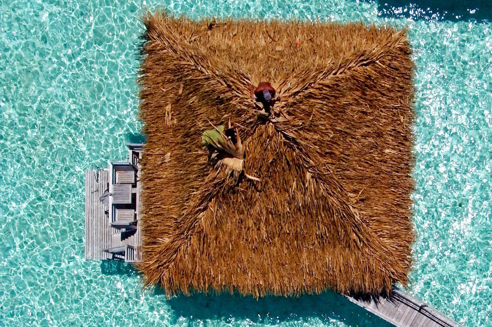 Toiture de bungalow en pandanus. Photo Pierre Lesage