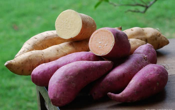 Papate douce, Ipomoea batatas, Umara. © Tahiti Heritage
