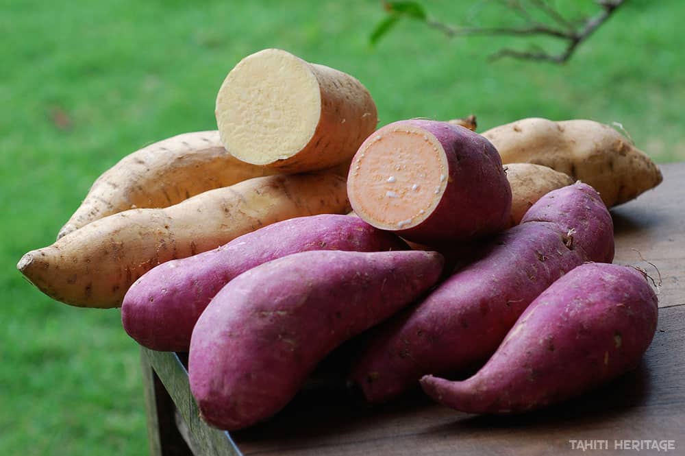 Papate douce, Ipomoea batatas, Umara