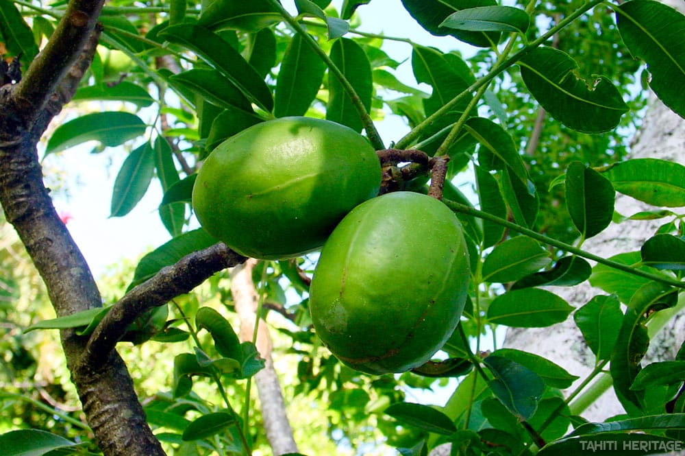 Vi tahiti, Pomme cythère