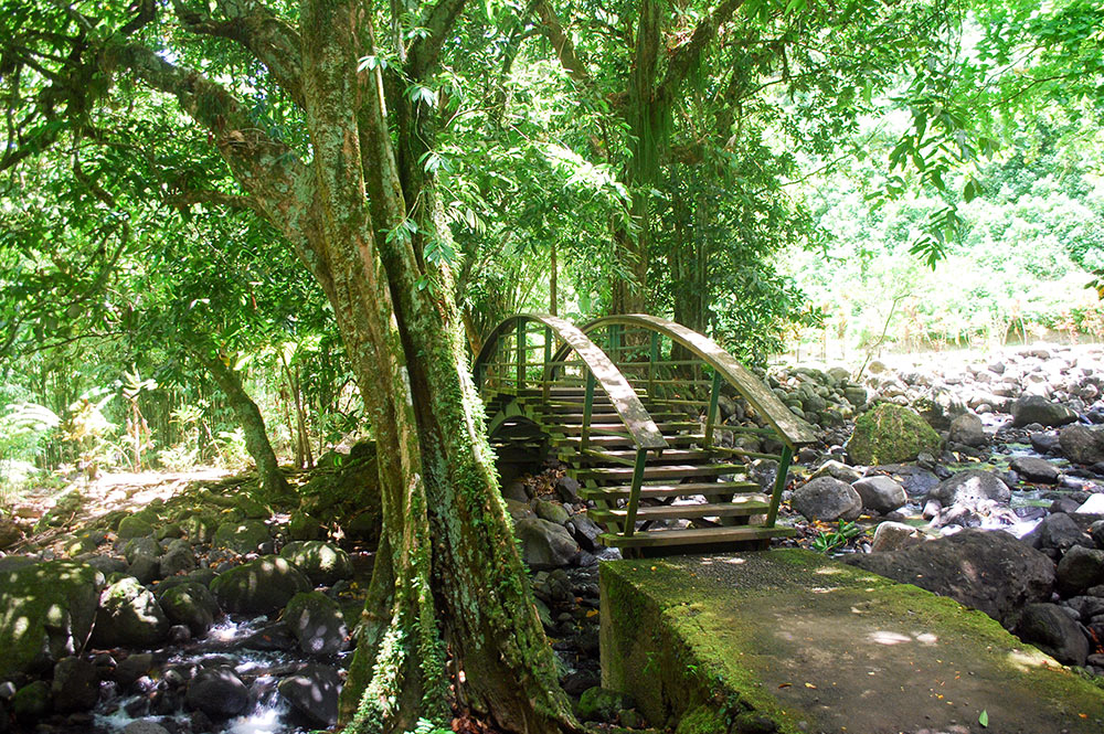 Pont du sentier des trois cascades, Hitiaa © Tahiti Heritage