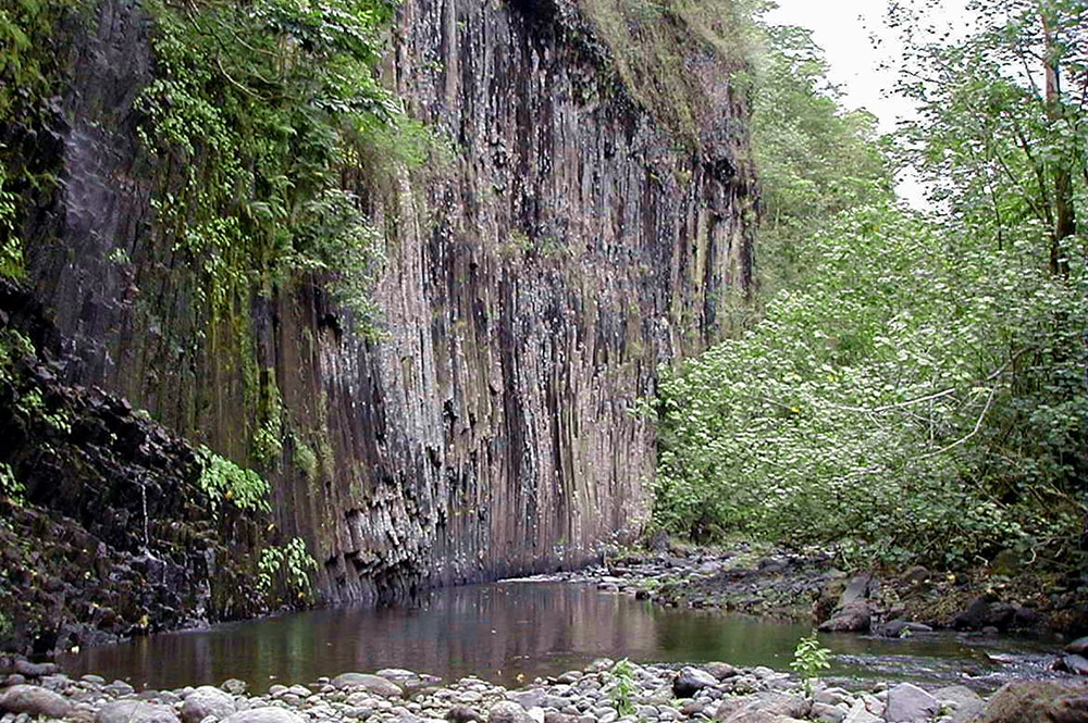 Les orgues basaltiques de la vallée de Tuauru à Mahina