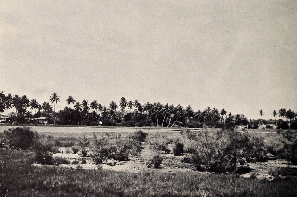 Le lac Tauaraufara de Avatoru en 1951