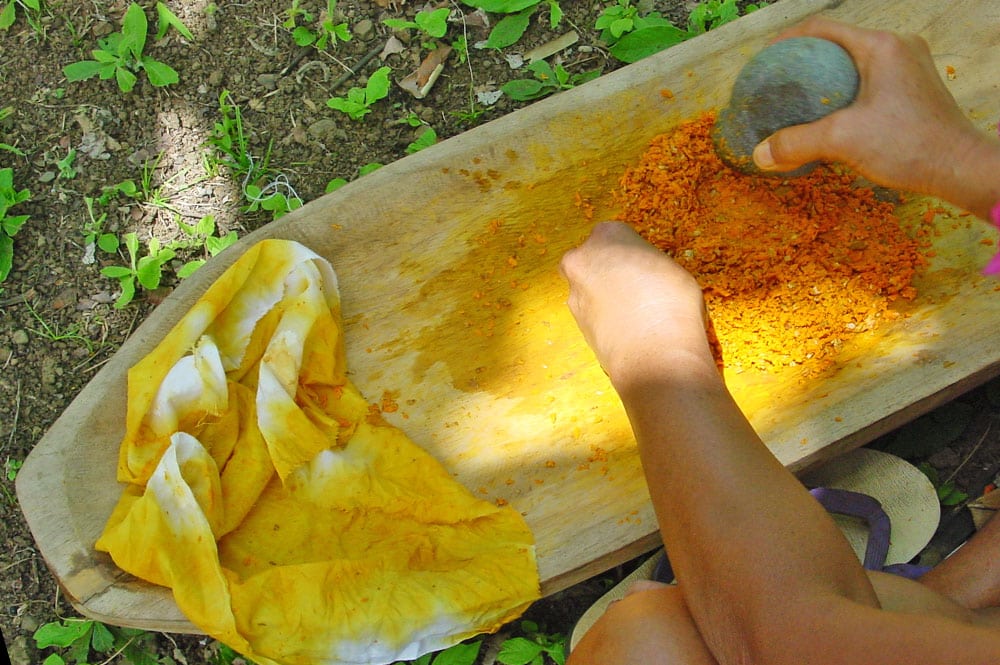 Teinture jaune obtenue avec le Nono de Tahiti, Morinda citrifolia © Tahiti Heritage