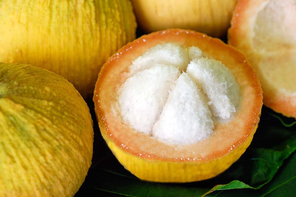 Santol de Tahiti, Sandoricum koetjape © Tahiti Heritage 