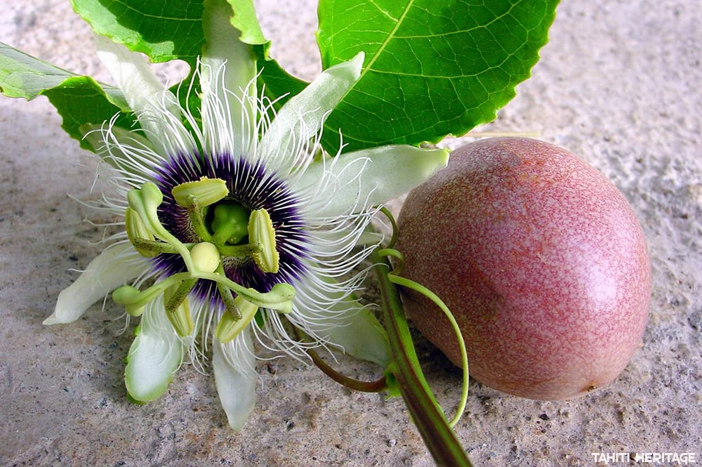 Fruit de la passion. © Tahiti Heritage