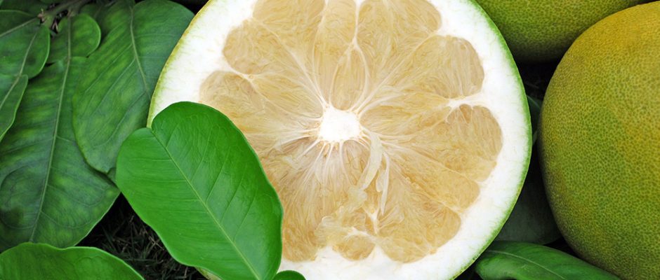 Pamplemousse vert de Tahiti © Tahiti Heritage