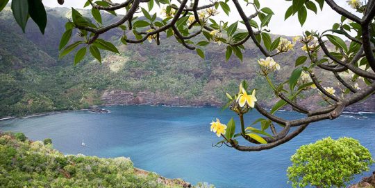 Baie de Hanaiapa à Hiva Oa. Photo Yan Peirsegaele