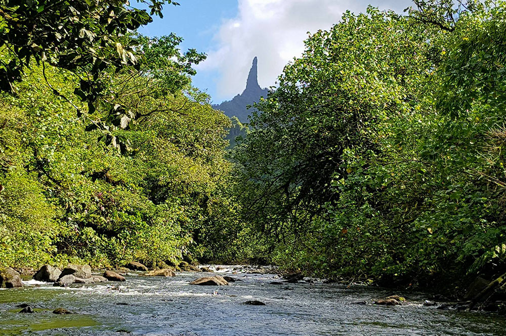 Mont Te Ure Vai Arava, marionnette de Chirac. Photo Chantal Tahiti iti