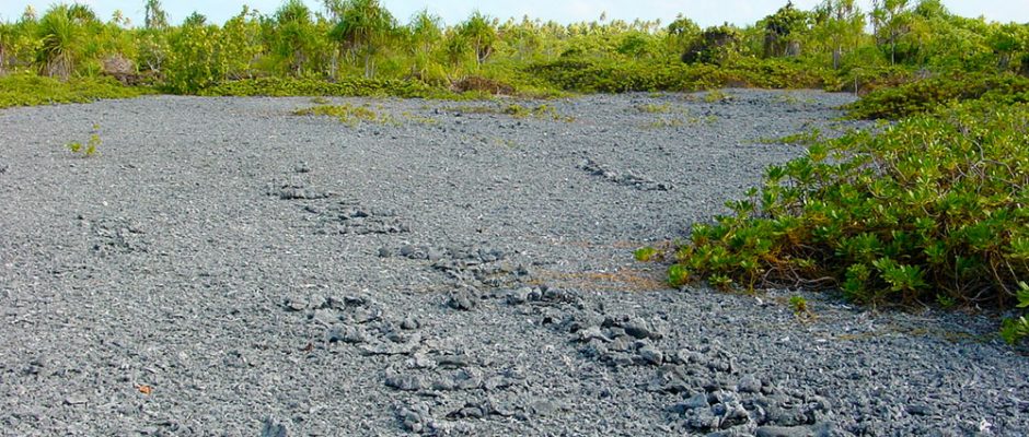 Plate-forme de cerfs-volants de Mataiva en 2002. © Tahiti Heritage