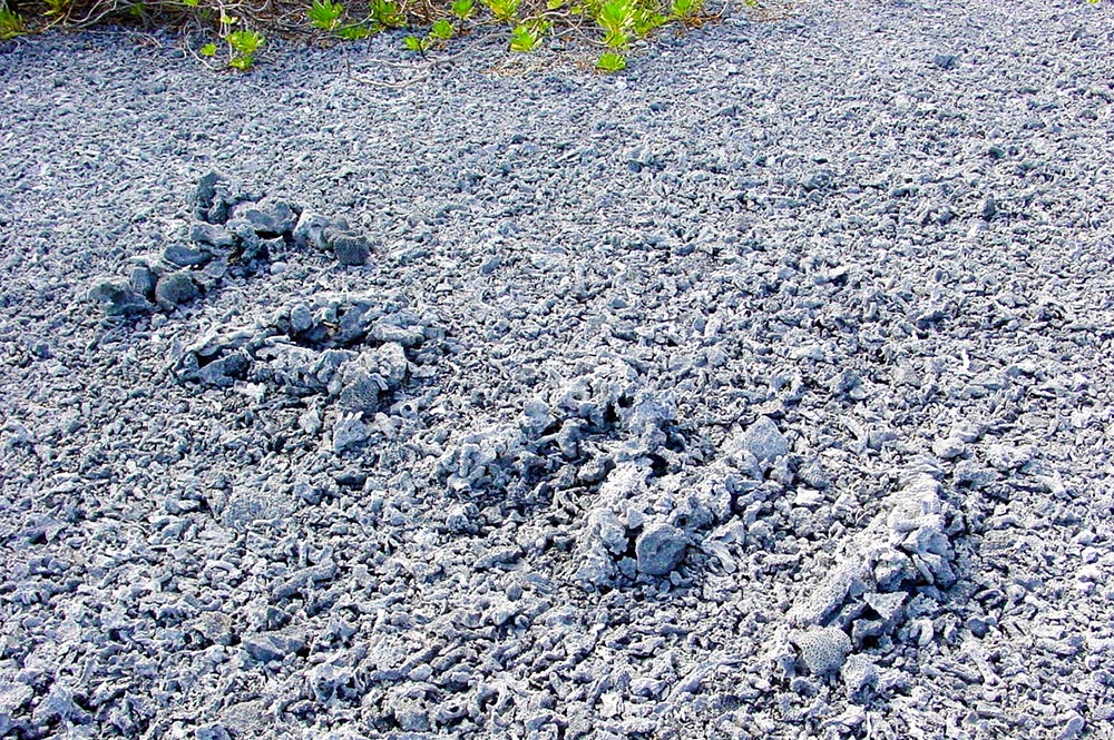 Plate-forme de cerfs-volants de Mataiva en 2002. © Tahiti Heritage