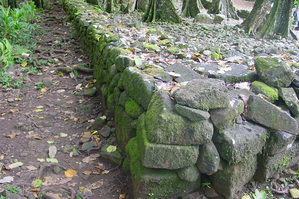 Détail du mur du Marae Tetiiroa, d'Opunohu Moorea