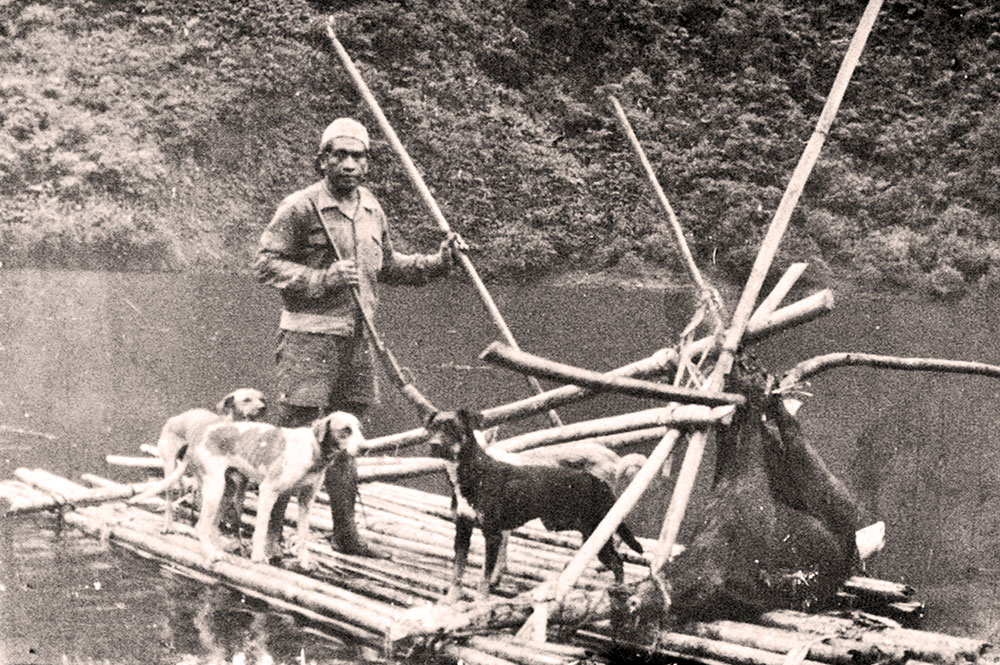 Chasseur en radeau sur le lac Vaihiria, à Mataiea Tahiti. Coll. Raymond Tuhio