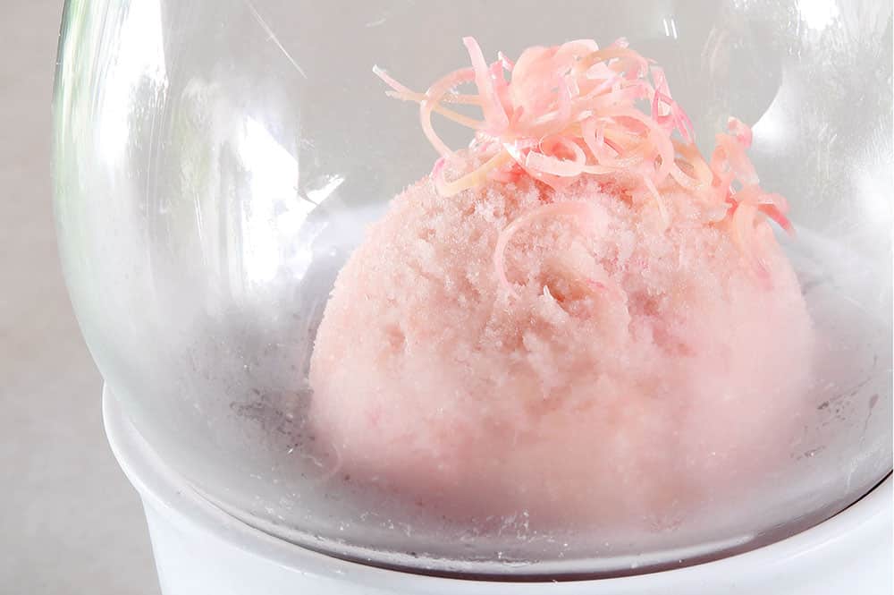 Torch Ginger Flower Sorbet