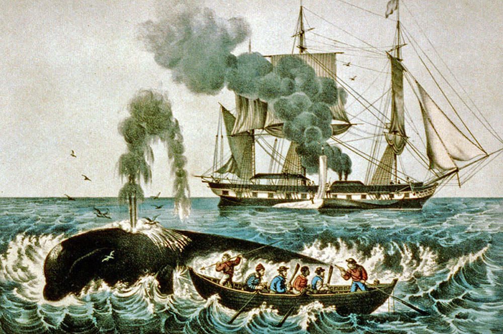 Scène de chasse à la baleine au XIXè siècle