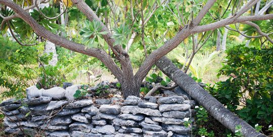 Pierre Mitimiti Iakura à Raroia © Tahiti Heritage