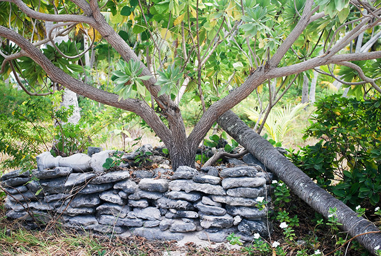 Pierre Mitimiti Iakura à Raroia © Tahiti Heritage