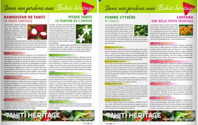 Ramboutan, Pitate, Vi-tahiti, Lantana