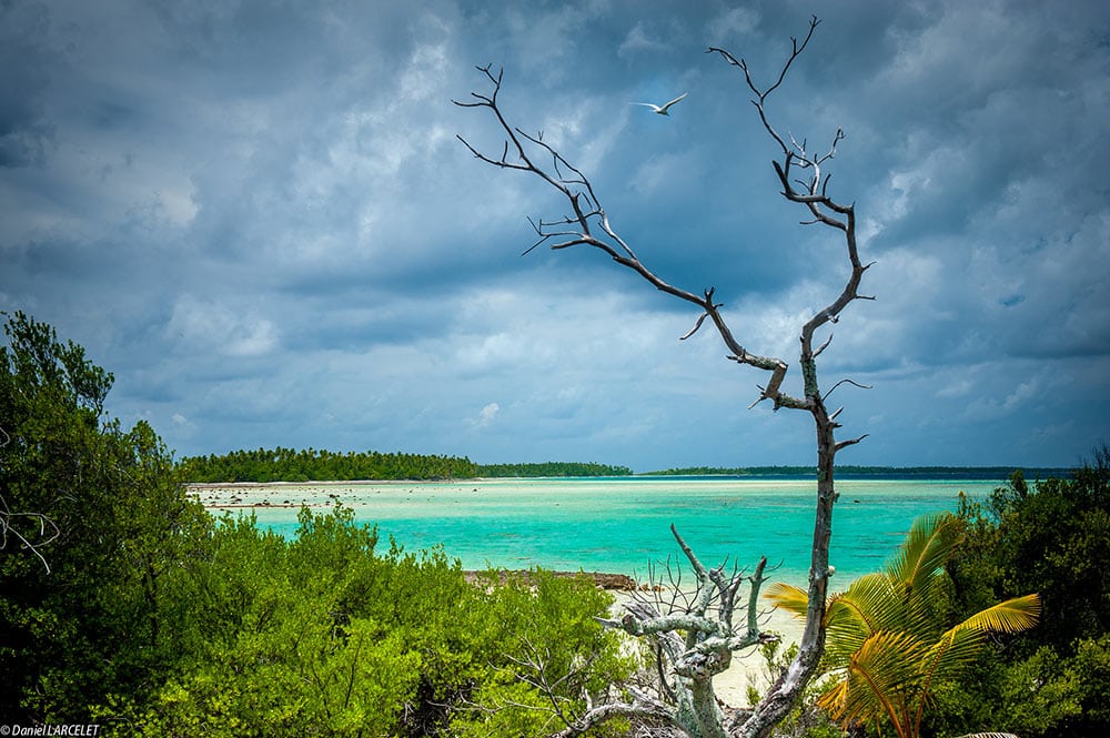 La passe Tapuhiria de Makemo. Photo Daniel Larcelet