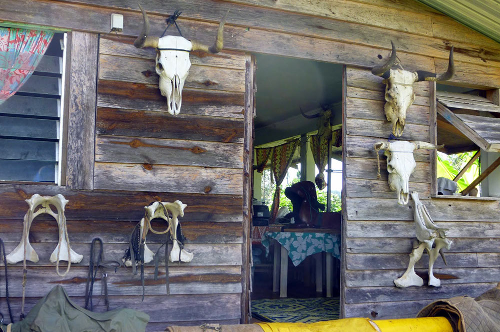 Ranch du plateau de Toovi