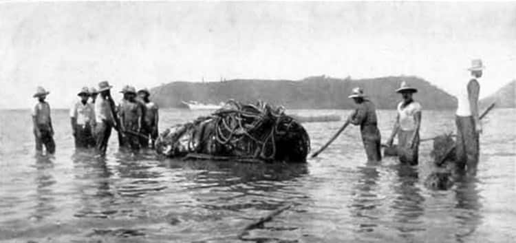 Embarquement des tikis à Raivavae en janvier 1934. Photo l'Illustration