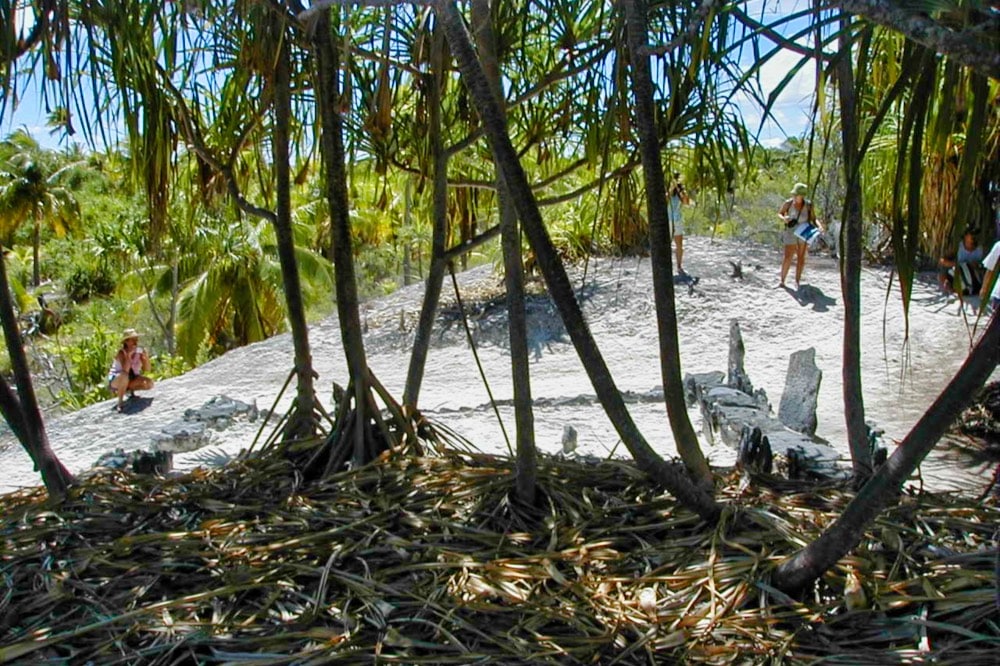 Le marae Maherehonae de Rangiroa