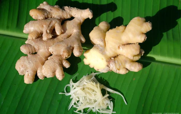 Gingembre de Tahiti -Zingiber officinale © Tahiti Heritage