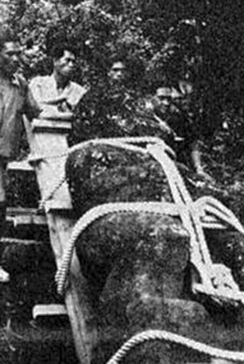 Le transport des tiki de Raivavae de Mamao à Papeari en 1965