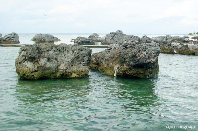 Mégablocs de Anaa, les excréments de Honoura