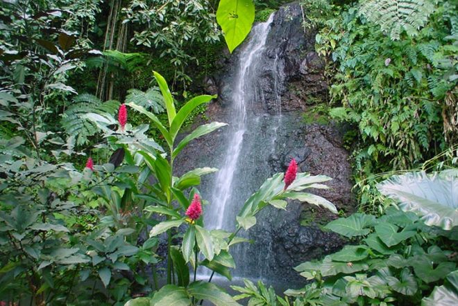 Cascade de Vaipahi, Mataiea, Tahiti © Tahiti Heritage