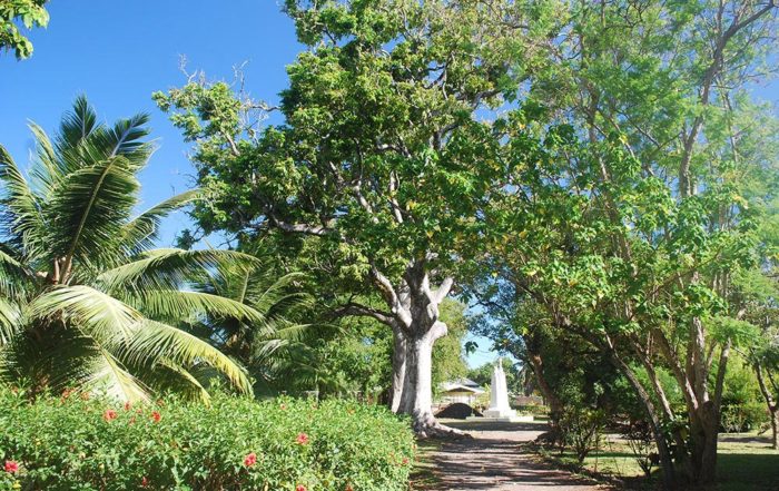 Noyers de l'évêché de Tahiti en 2006 © Tahiti Heritage