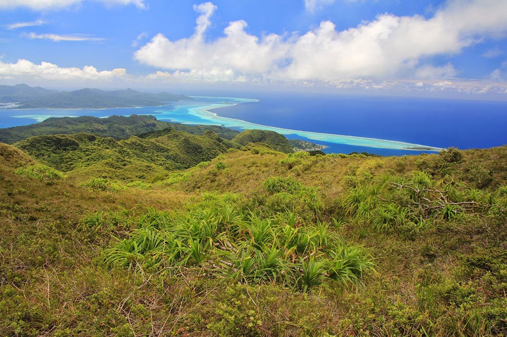 Plateau de Temehani à Raiatea.