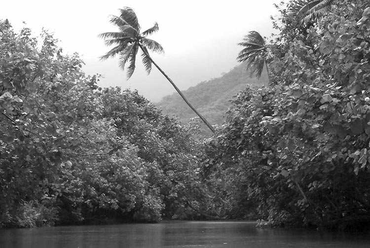 Rivière Faaroa à Raiatea