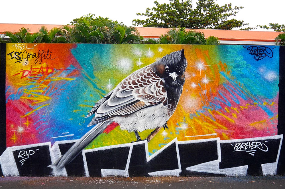 Street art, le bulbul des Williams à Raiatea