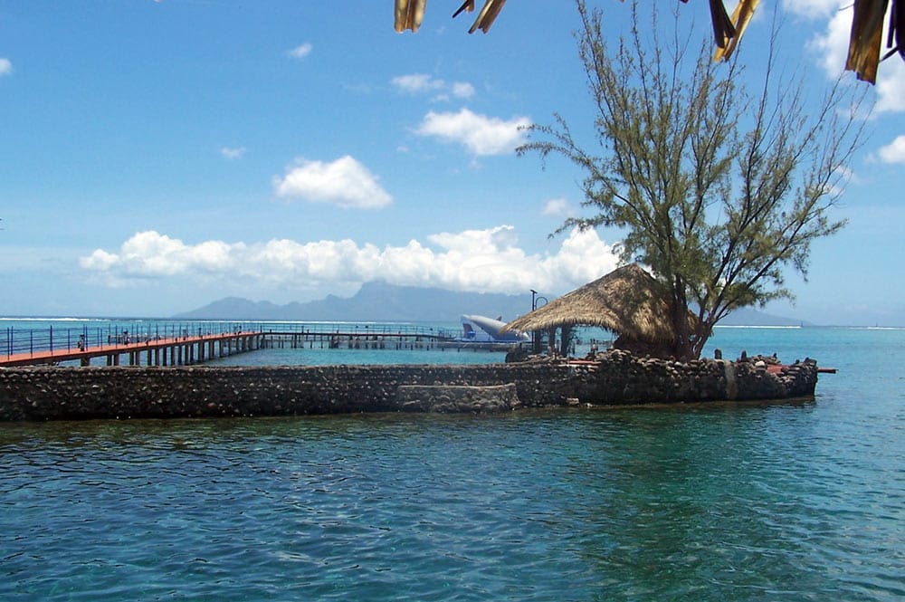 Lagonarium de Tahiti